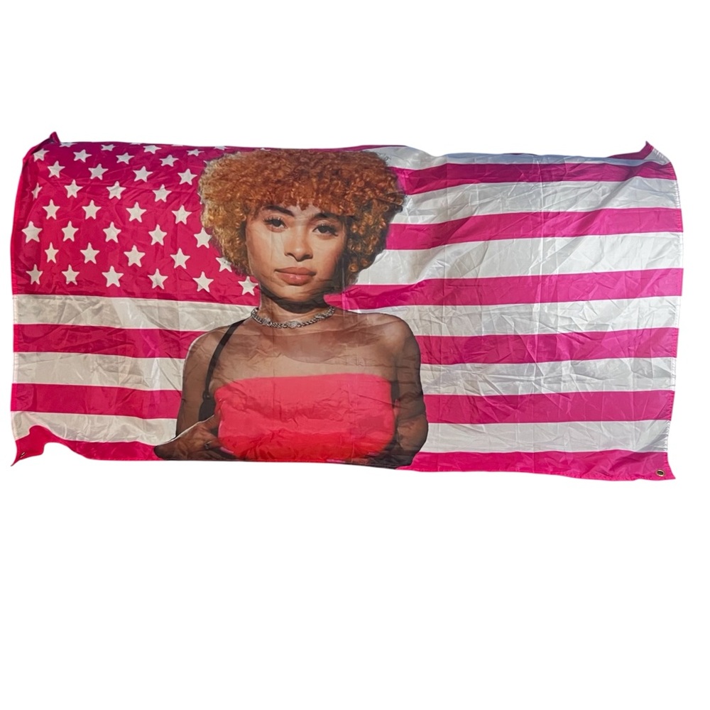 Ice Spice Pink/Red American Flag Style Pop Art Wall Decor preowned w/ defects